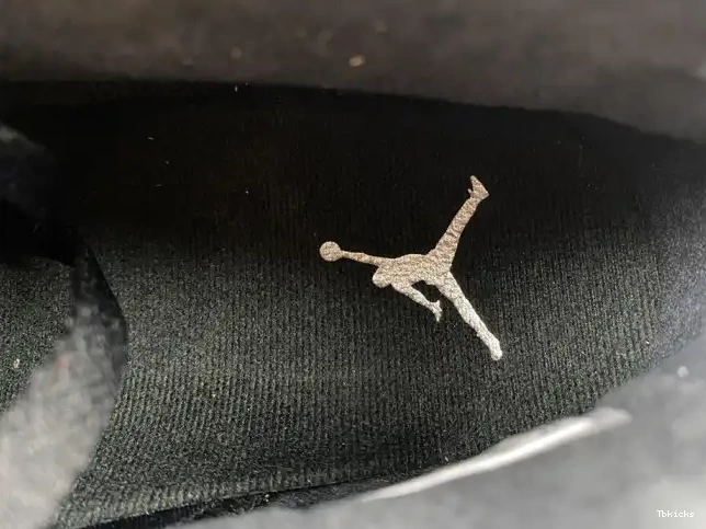 Rep TBK DX2836-001 Metallic Jordan Air 6 Silver 0509
